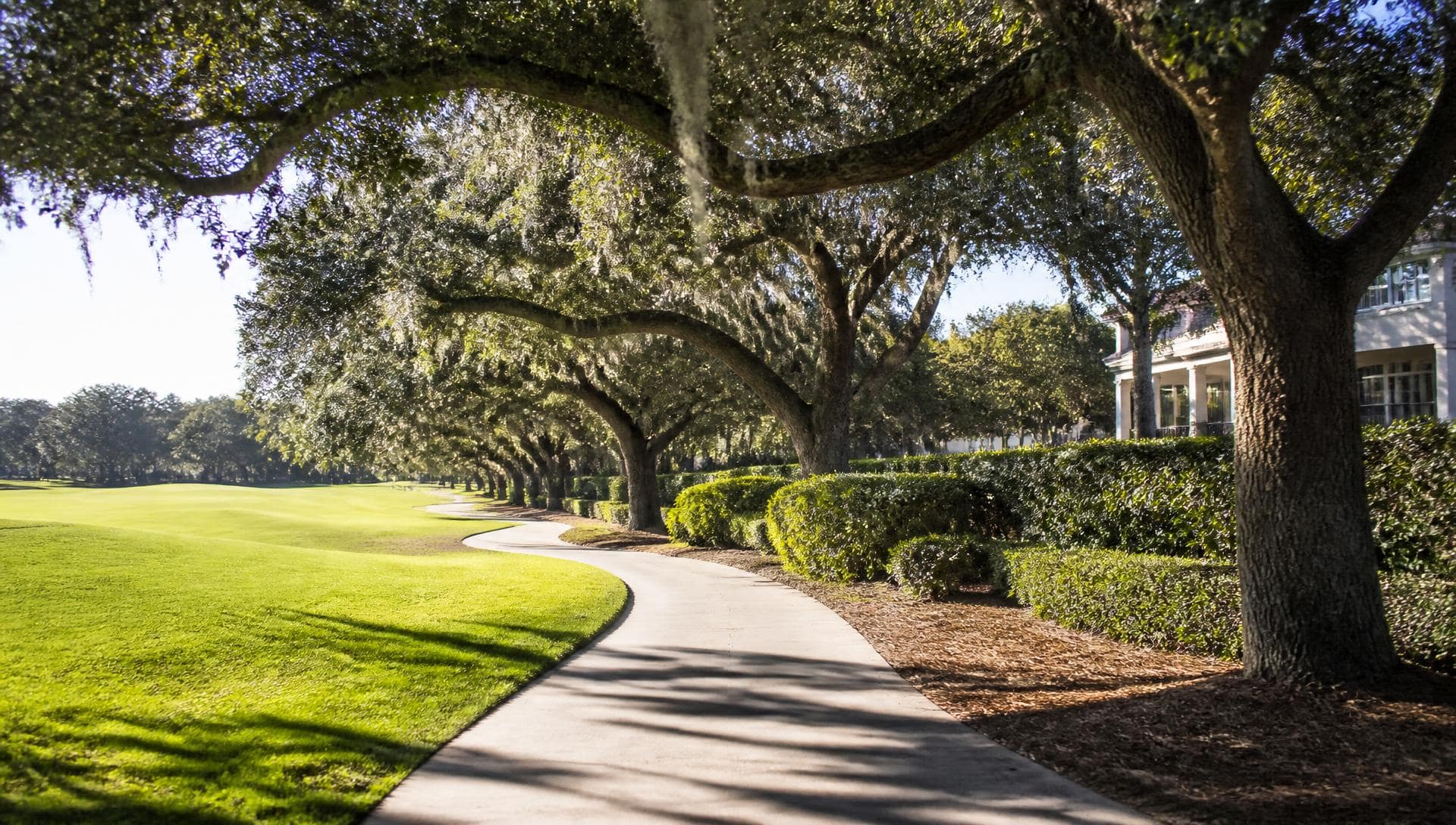 Tree-lined residential street in the Piper Glen community