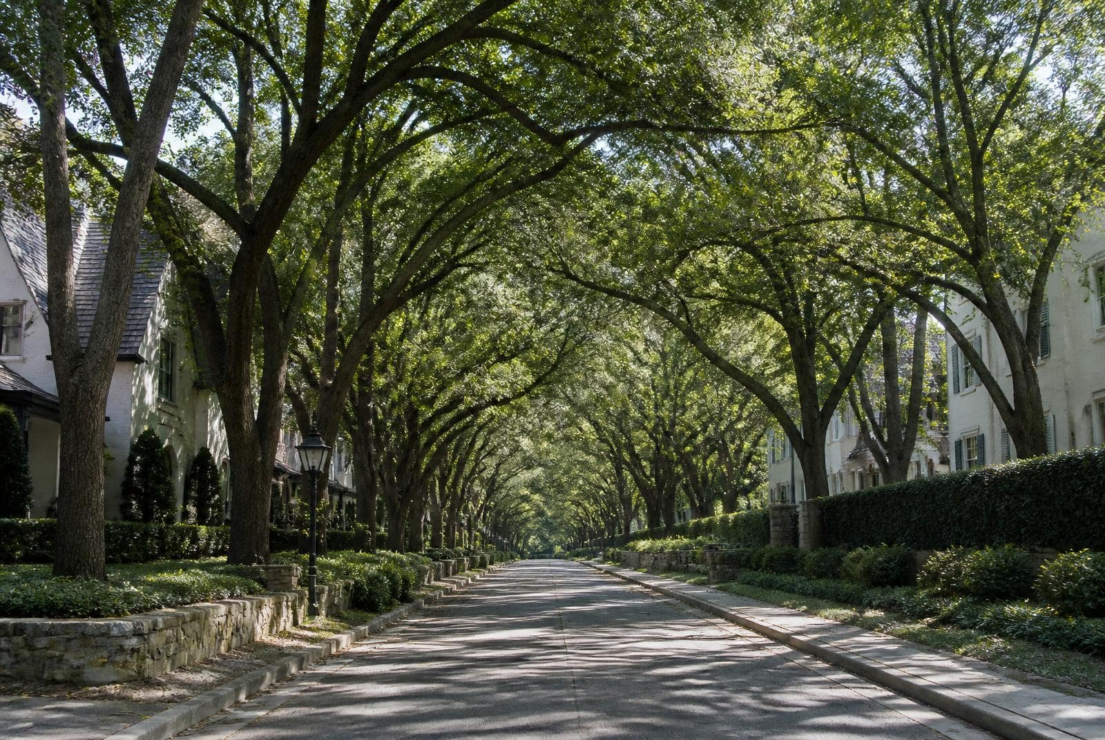Glen Oaks in Piper Glen