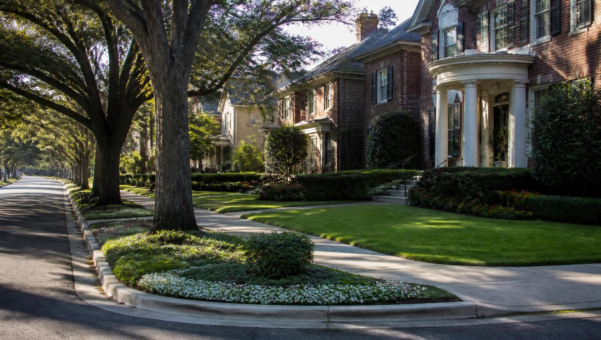 A tree-lined street in Piper Glen at golden hour
